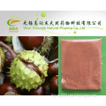 High Quality Herb Medicine Horse Chestnut P. E Aescin Escin on Sell